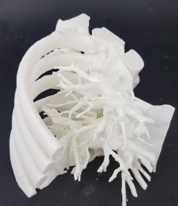 WhatsApp Image 2017-11-21 at 17.58.19 (1)